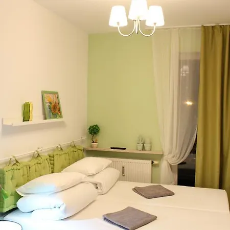 Kolorowa Guest